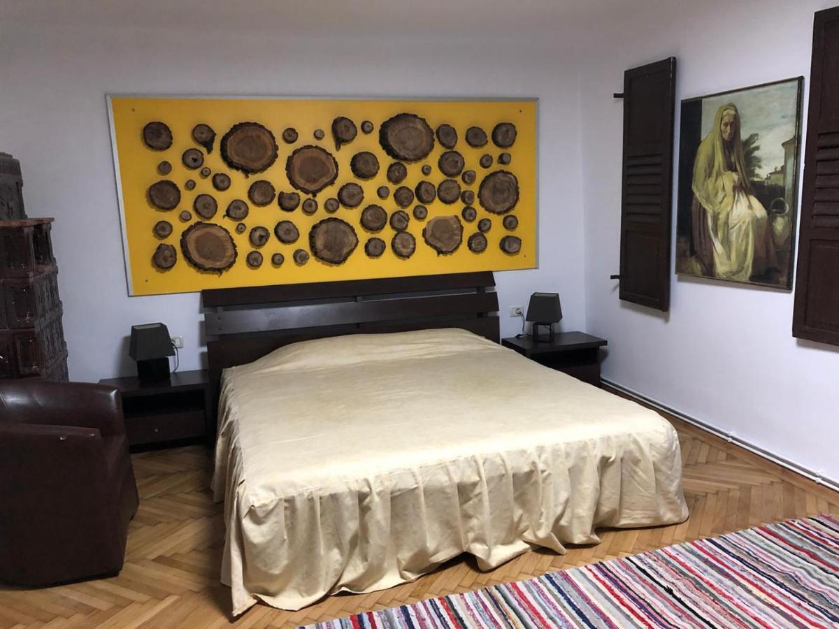 Apartament Garsoniera Centru Braszów Zewnętrze zdjęcie