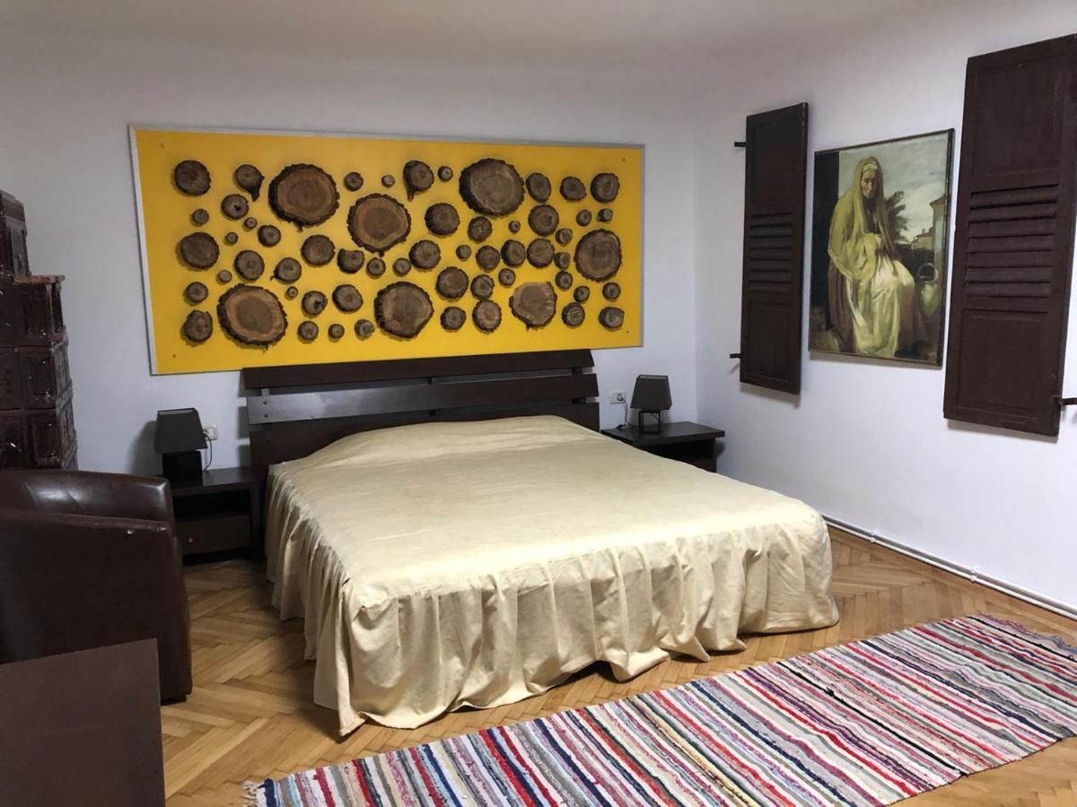 Apartament Garsoniera Centru Braszów Zewnętrze zdjęcie
